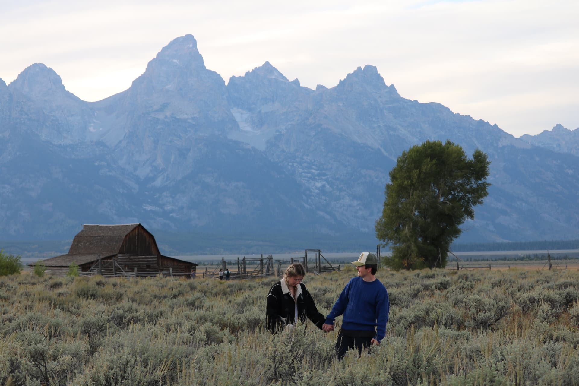 Walking through the sagebrush near the old barn